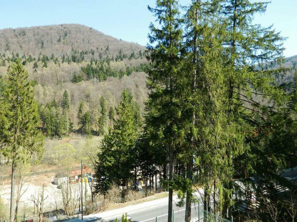 Willa Casa Cristian Sinaia Zewnętrze zdjęcie